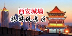 肉棒插进屄屄视频中国陕西-西安城墙旅游风景区